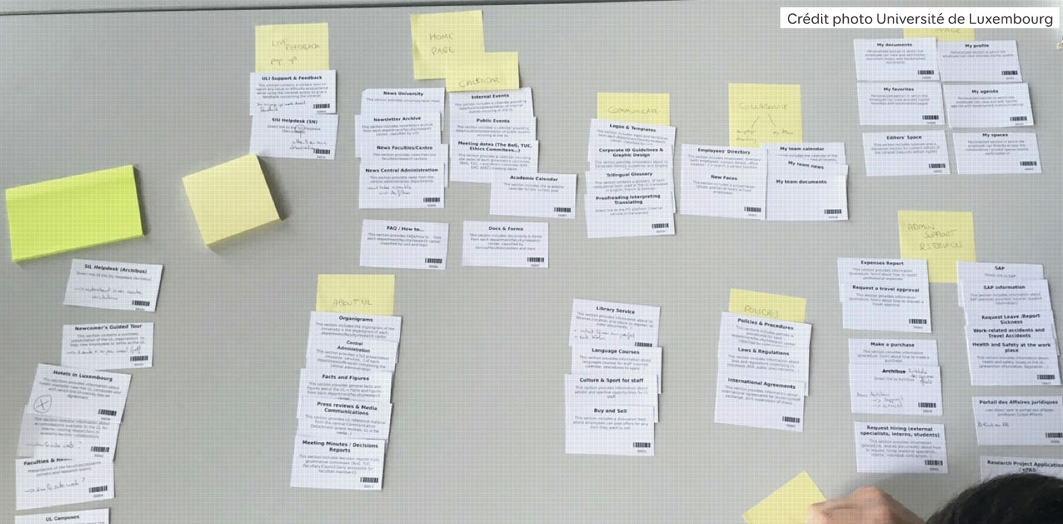 Tris de carte à l'université